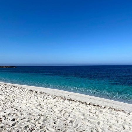 Casa Vacanze Da Roberta A Pochi Km Da Oristano Simaxis Bagian luar foto